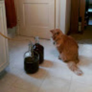 Meet your Posher, Mel